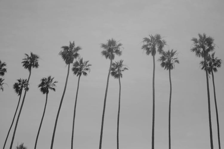 california-bw